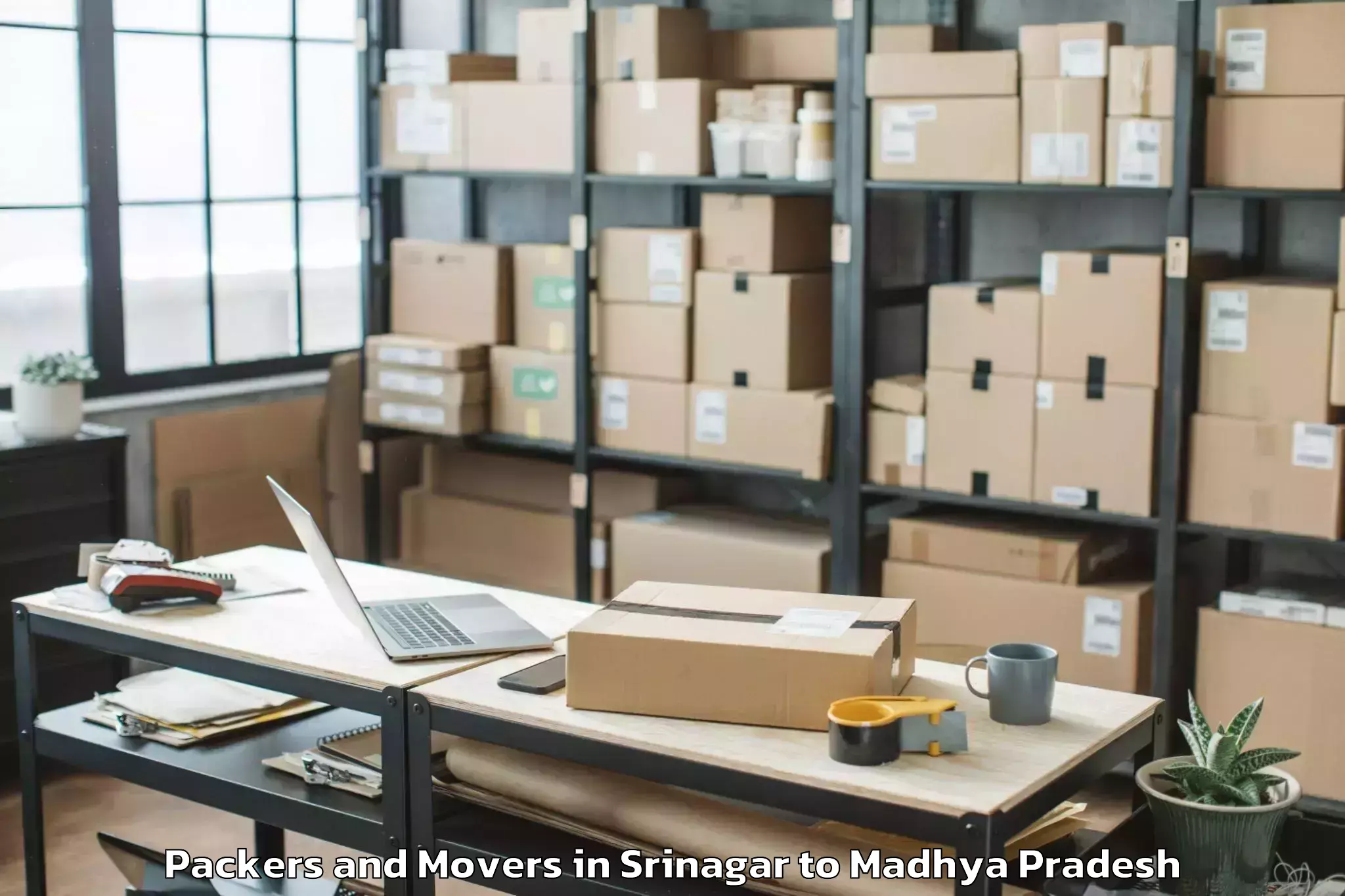 Professional Srinagar to Chhindwara Packers And Movers